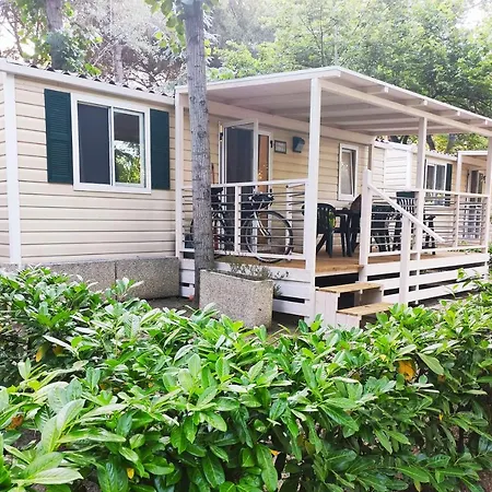 바디아차 빌리지 캠핑 홀리데이파크 4*