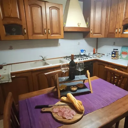 홀리데이파크 바디아차 빌리지 캠핑 4*