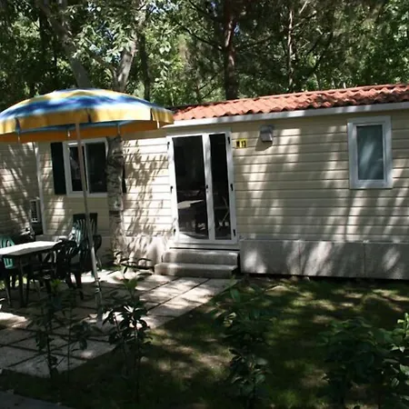 바디아차 빌리지 캠핑 홀리데이파크