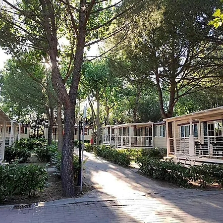 Badiaccia Village Semesterpark Castiglione del Lago