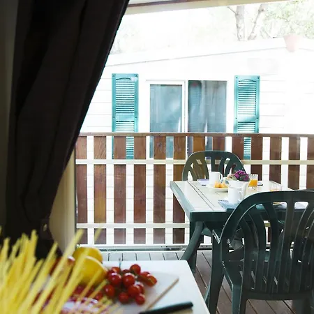 바디아차 빌리지 캠핑 홀리데이파크 4*